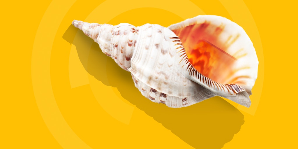 Biomimicry seashell