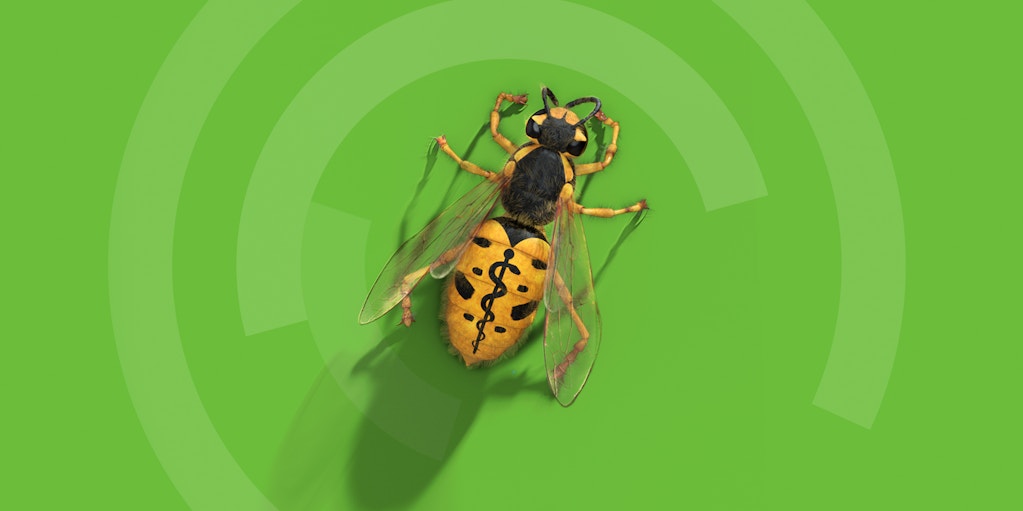 Biomimicry wasp